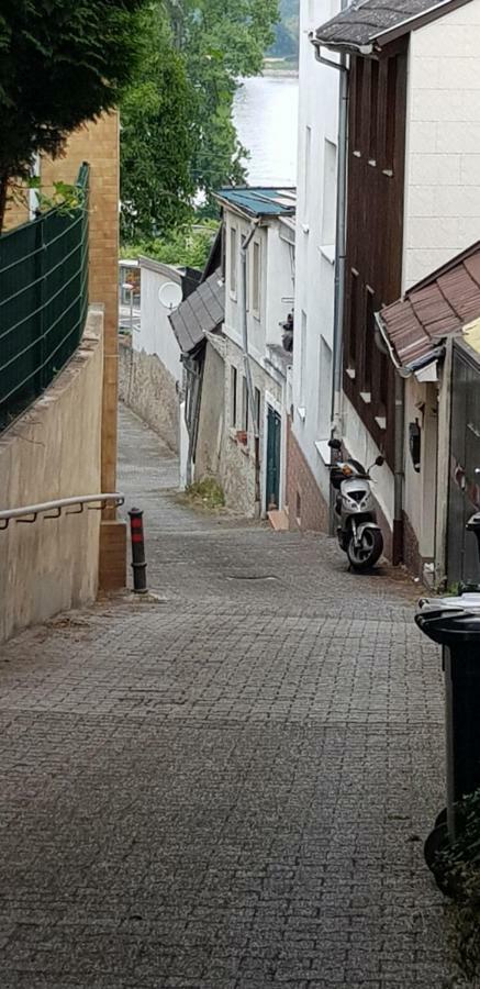 Rheinblick 3-Zimmer Apartment Mainz Bagian luar foto